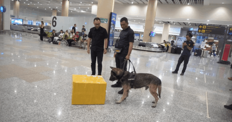 Pengawasan Narkoba BNN Bali di Bandara: Strategi 2025
