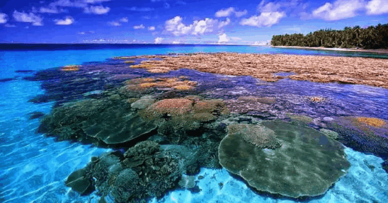 Wisata Pulau Bunaken: Petualangan Bahari yang Memukau