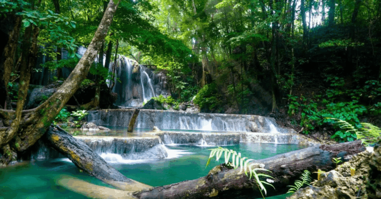 Wisata Alam Indonesia: Oase untuk Bersantai dan Berlibur