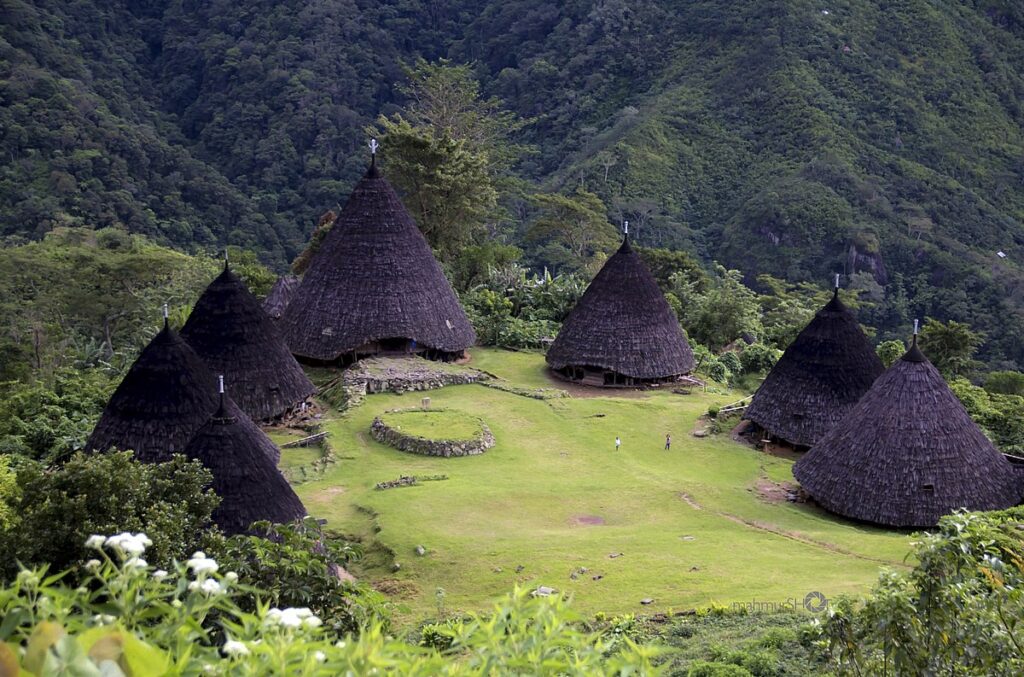 Menyusuri Desa Adat Wae Rebo di Flores