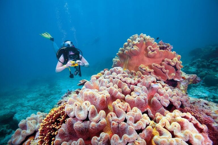 Keindahan Great Barrier Reef Australia