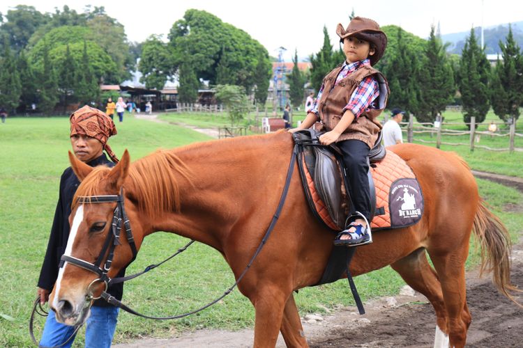 Wisata Berkuda di Lembang: Seru dan Edukatif untuk Keluarga