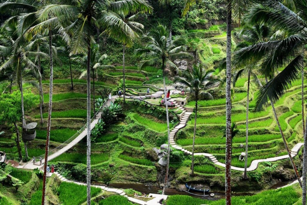 Healing di Alam: Inspirasi Wisata Hijau Menyegarkan Pikiran