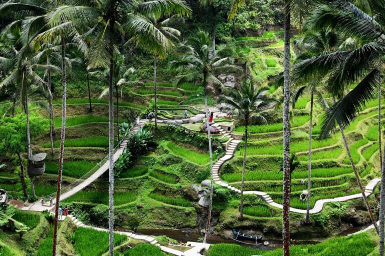 Healing di Alam: Inspirasi Wisata Hijau Menyegarkan Pikiran