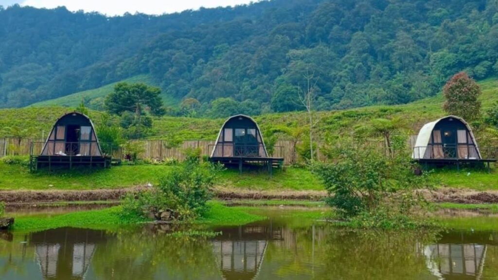 Jelajahi 5 Destinasi Wisata Menarik di Bogor dari Jakarta