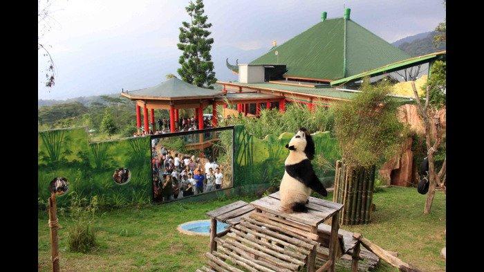 Petualangan Seru Bogor: Itinerary 2 Hari 1 Malam Berdua