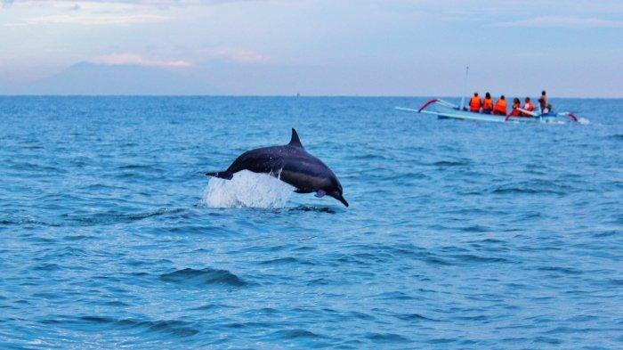 Honeymoon Berkesan: Destinasi Buleleng Budget Terjangkau