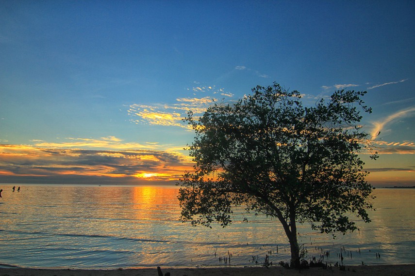 Serunya Healing dan Berburu Kerang di Pantai Tanjung Pendam