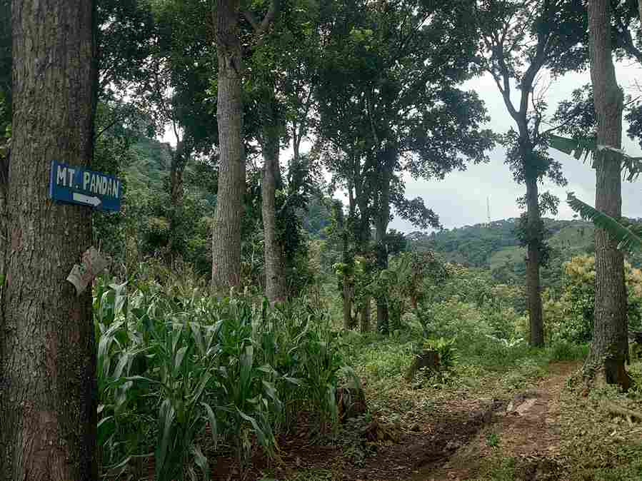 Gunung Pandan: Keajaiban Alam di Bojonegoro