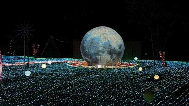 Cahaya Spektakuler di Mangrove PIK, Mulai Rp25 Ribu