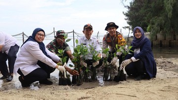 Mangrove Pulau Tidung: Inisiatif Hijau Polisi