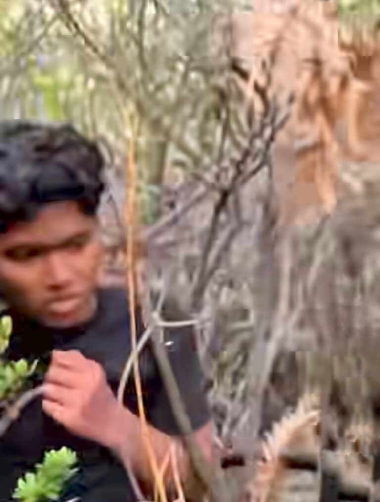 Pendaki Selamat Usai Hilang 2 Hari di Kawah Ijen