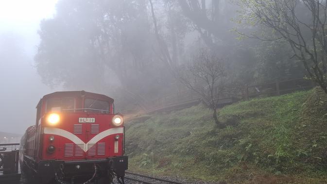 Mengungkap Pesona Hutan dan Kereta Alishan