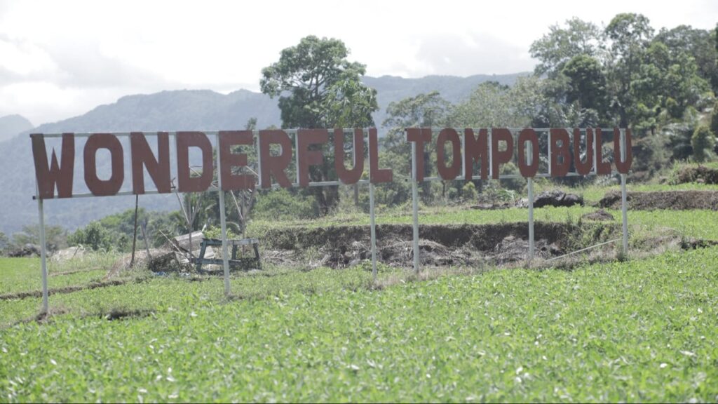 Sinergi Digitalisasi dan Potensi Lokal Memajukan Desa