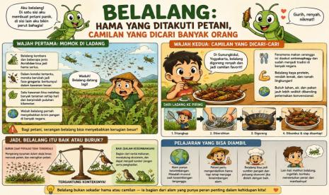 Belalang hama petani: Belalang, Hama Petani yang Dicari Banyak…